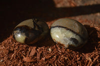 Polished Septerye Galet / Palm Stones x 12 From Mahajanga, Madagascar - Toprock Gemstones and Minerals 