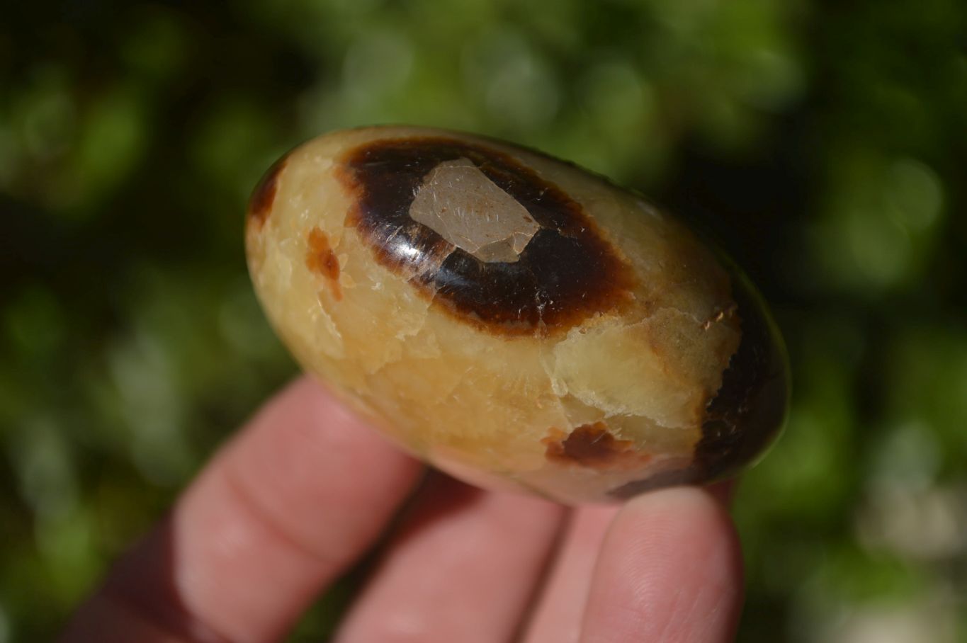 Polished Septerye Galet / Palm Stones x 12 From Mahajanga, Madagascar - Toprock Gemstones and Minerals 