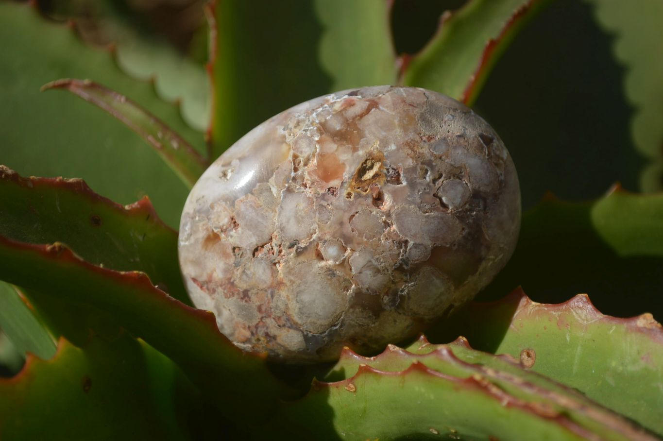 Polished Ocean Flower Agate Galet / Palm Stones x 12 From Antsahalova, Madagascar - Toprock Gemstones and Minerals 