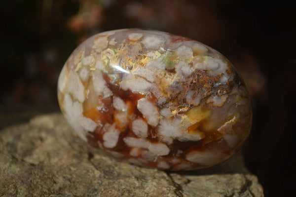 Polished Ocean Flower Agate Galet / Palm Stones x 12 From Antsahalova, Madagascar - Toprock Gemstones and Minerals 