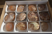 Polished Ocean Flower Agate Galet / Palm Stones x 12 From Antsahalova, Madagascar - Toprock Gemstones and Minerals 