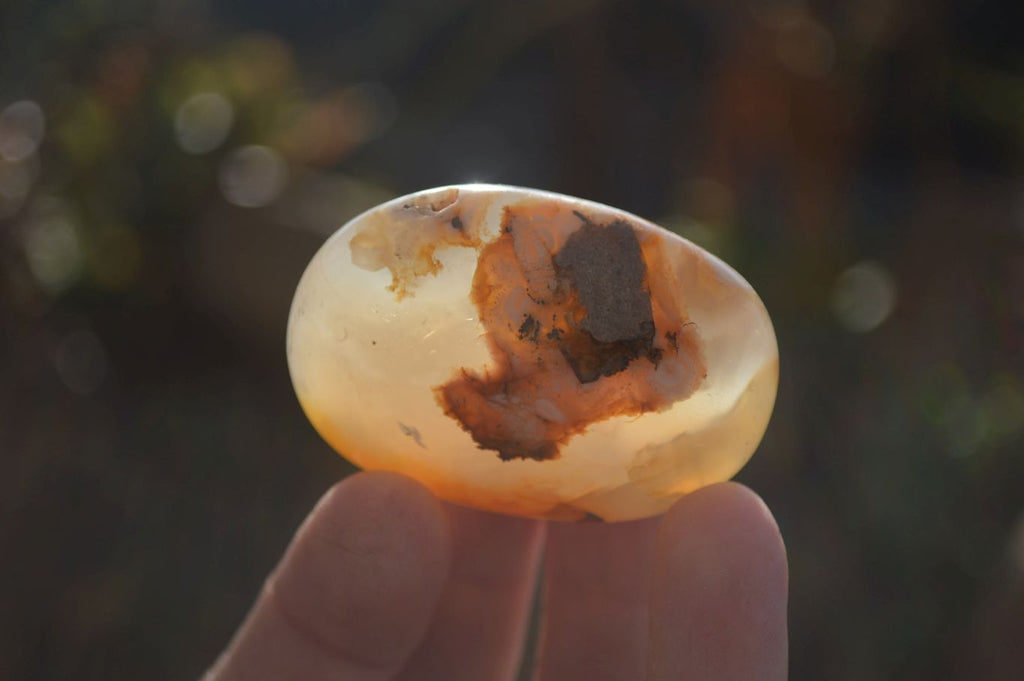 Polished Ocean Flower Agate Galet / Palm Stones x 12 From Antsahalova, Madagascar - Toprock Gemstones and Minerals 