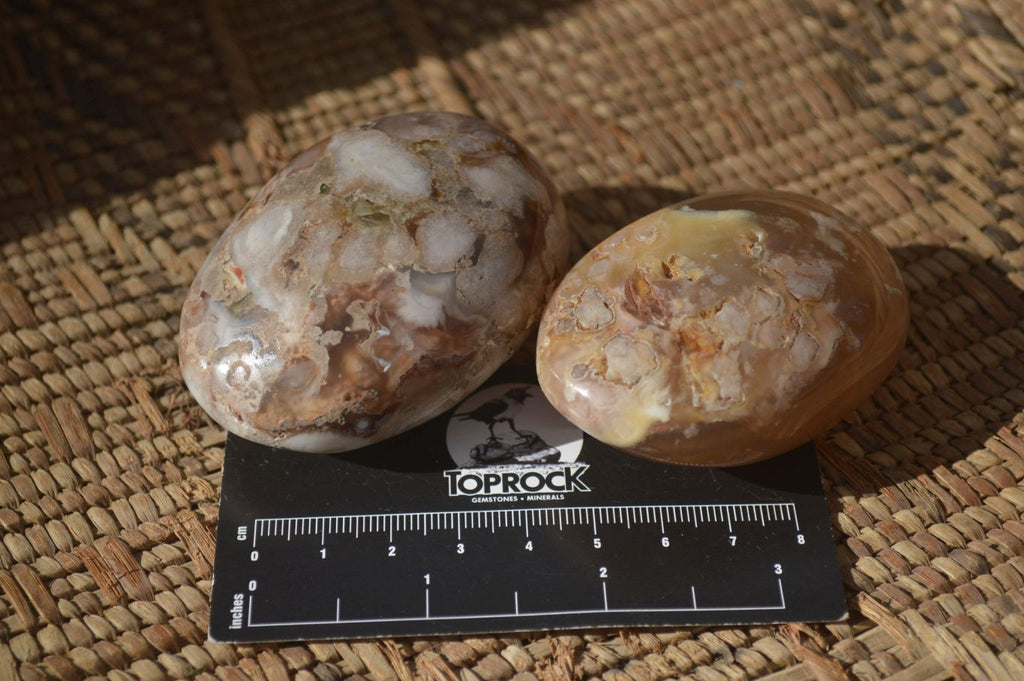 Polished Ocean Flower Agate Galet / Palm Stones x 12 From Antsahalova, Madagascar - Toprock Gemstones and Minerals 