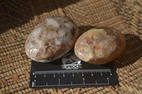 Polished Ocean Flower Agate Galet / Palm Stones x 12 From Antsahalova, Madagascar - Toprock Gemstones and Minerals 