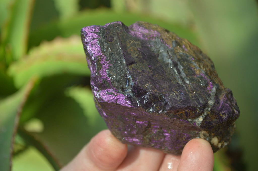 Natural Metallic Purpurite Cobbed Specimens x 12 From Erongo, Namibia - Toprock Gemstones and Minerals 