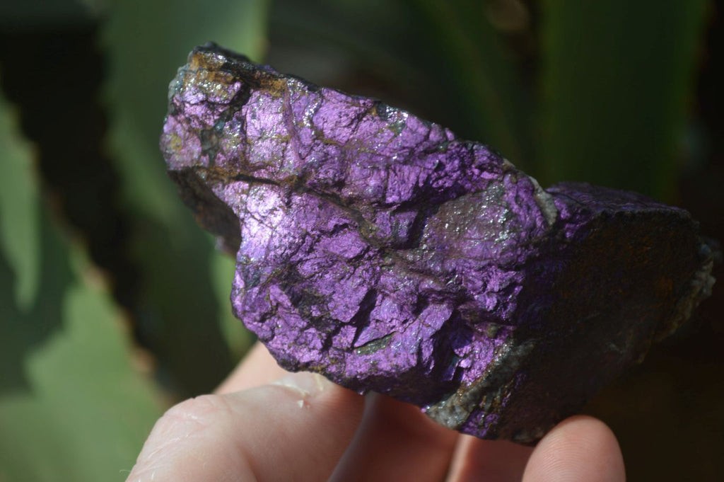 Natural Metallic Purpurite Cobbed Specimens x 12 From Erongo, Namibia - Toprock Gemstones and Minerals 