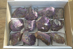 Natural Metallic Purpurite Cobbed Specimens x 12 From Erongo, Namibia - Toprock Gemstones and Minerals 