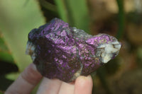Natural Metallic Purpurite Cobbed Specimens x 12 From Erongo, Namibia - Toprock Gemstones and Minerals 