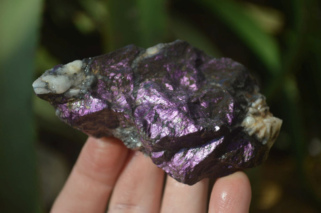 Natural Metallic Purpurite Cobbed Specimens x 12 From Erongo, Namibia - Toprock Gemstones and Minerals 