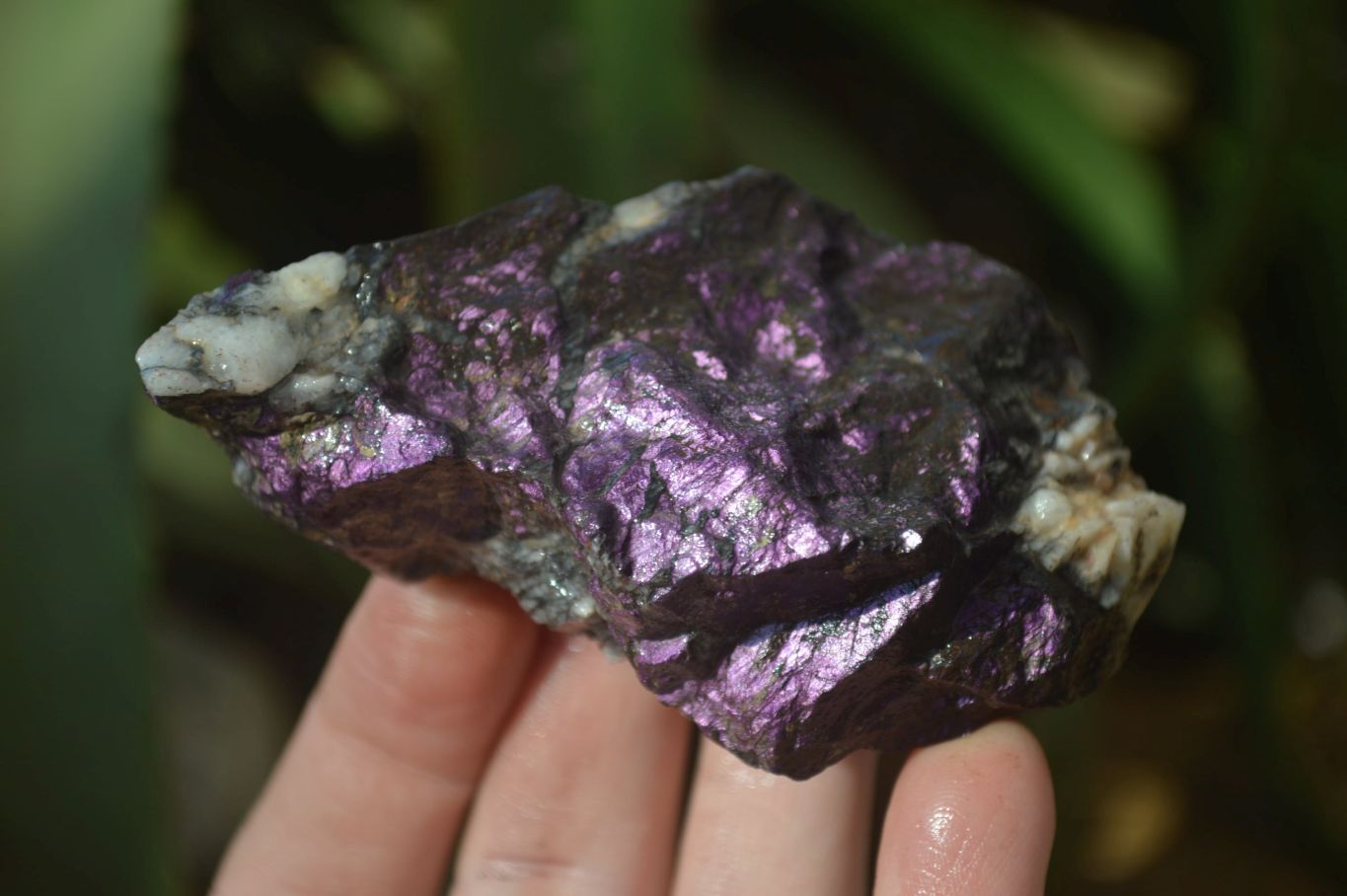 Natural Metallic Purpurite Cobbed Specimens x 12 From Erongo, Namibia - Toprock Gemstones and Minerals 