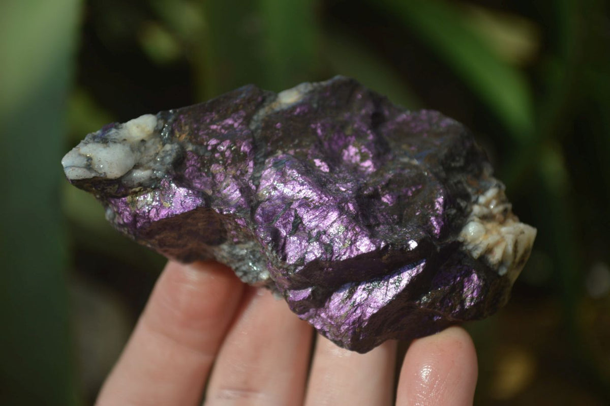 Natural Metallic Purpurite Cobbed Specimens x 12 From Erongo, Namibia - Toprock Gemstones and Minerals 