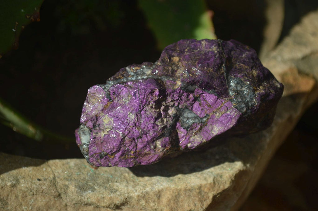 Natural Metallic Purpurite Cobbed Specimens x 12 From Erongo, Namibia - Toprock Gemstones and Minerals 