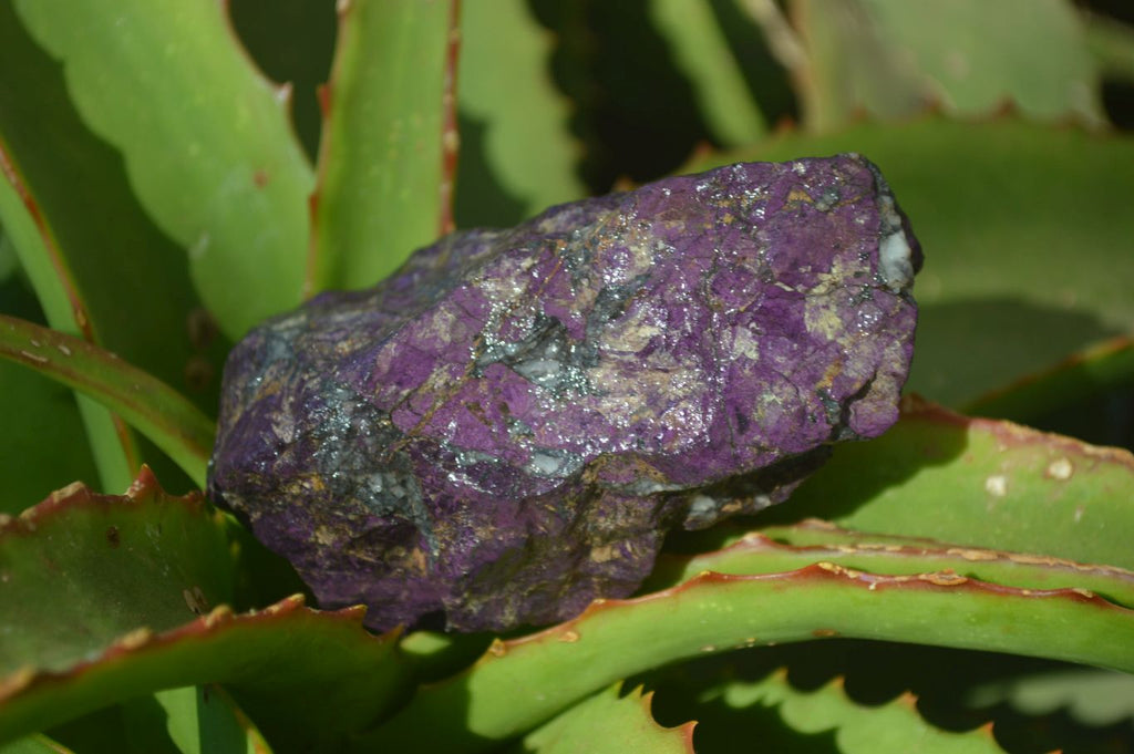 Natural Metallic Purpurite Cobbed Specimens x 12 From Erongo, Namibia - Toprock Gemstones and Minerals 