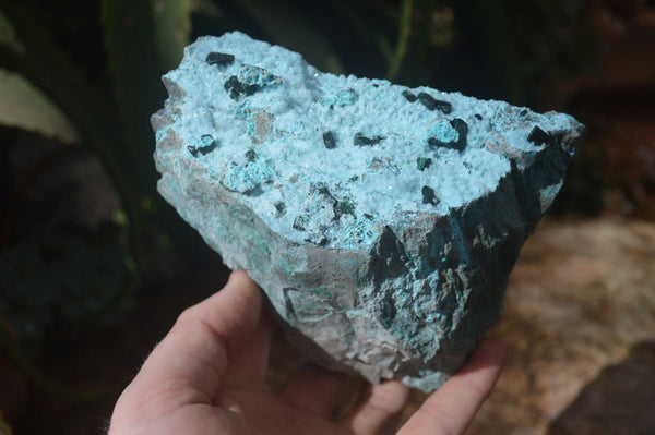 Natural Chrysocolla & Malachite Dolomite Specimen x 1 From Likasi, Congo - Toprock Gemstones and Minerals 