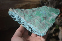Natural Chrysocolla & Malachite Dolomite Specimen x 1 From Likasi, Congo - Toprock Gemstones and Minerals 