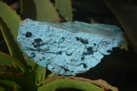 Natural Chrysocolla & Malachite Dolomite Specimen x 1 From Likasi, Congo - Toprock Gemstones and Minerals 
