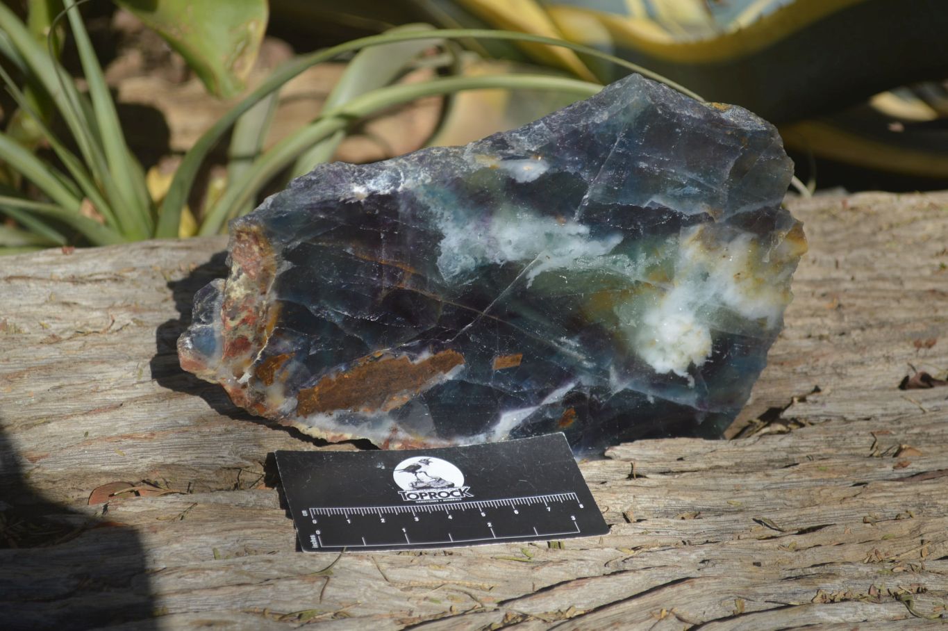 Polished Watermelon Fluorite Slice x 1 From Uis, Namibia - Toprock Gemstones and Minerals 