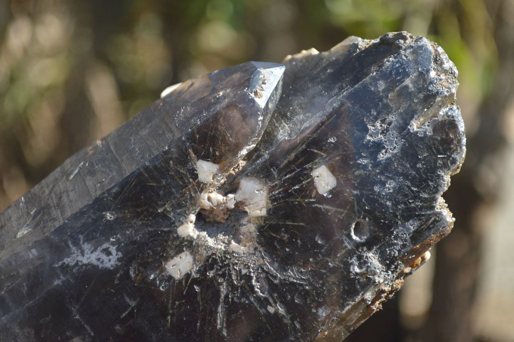 Natural Half Polished Smokey Quartz Crystals x 2 From Zomba, Malawi - Toprock Gemstones and Minerals 