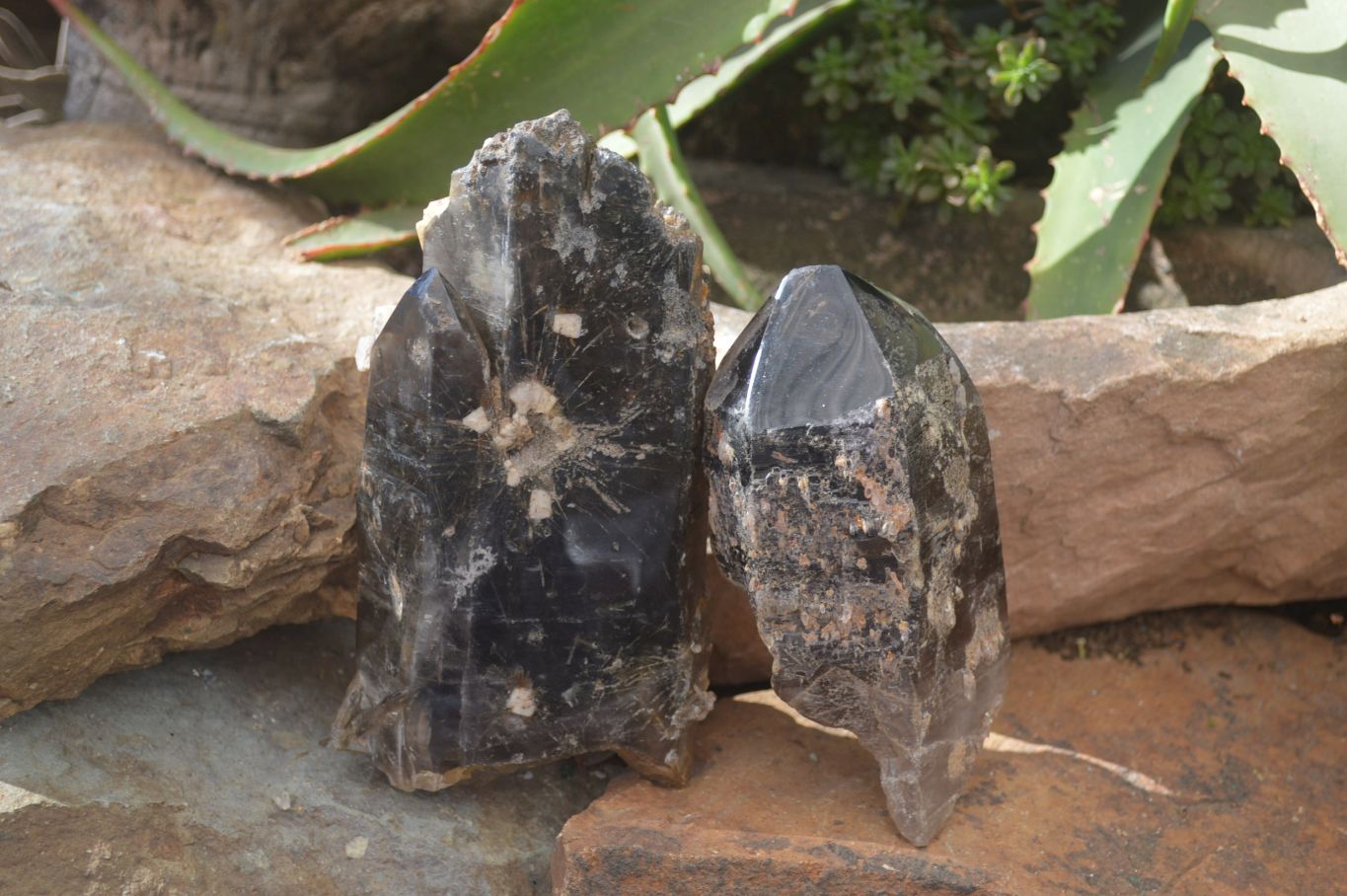 Natural Half Polished Smokey Quartz Crystals x 2 From Zomba, Malawi - Toprock Gemstones and Minerals 