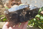 Natural Half Polished Smokey Quartz Crystals x 2 From Zomba, Malawi - Toprock Gemstones and Minerals 