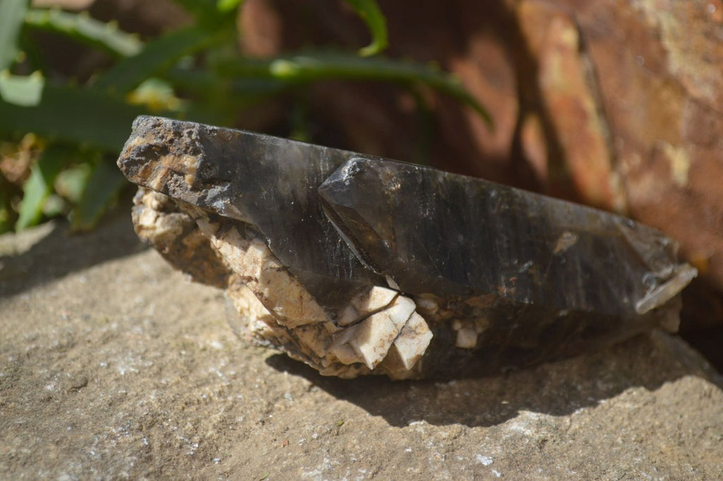 Natural Half Polished Smokey Quartz Crystals x 2 From Zomba, Malawi - Toprock Gemstones and Minerals 