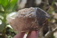 Natural Half Polished Smokey Quartz Crystals x 2 From Zomba, Malawi - Toprock Gemstones and Minerals 