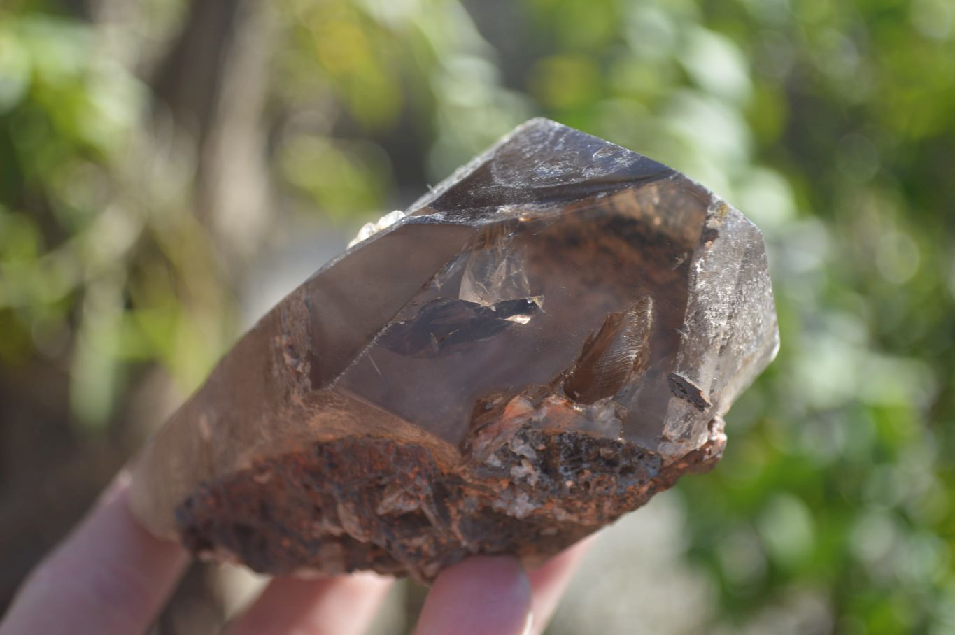 Natural Half Polished Smokey Quartz Crystals x 2 From Zomba, Malawi - Toprock Gemstones and Minerals 