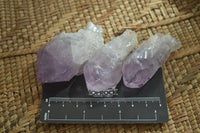 Natural Jacaranda Amethyst Single Crystals x 35 From Mumbwa, Zambia