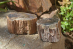 Polished Petrified Wood Branch Pieces x 4 From Gokwe, Zimbabwe - Toprock Gemstones and Minerals 