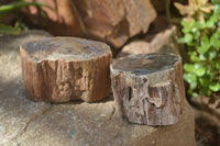 Polished Petrified Wood Branch Pieces x 4 From Gokwe, Zimbabwe - Toprock Gemstones and Minerals 