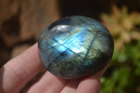 Polished Labradorite Galet / Palm Stones x 12 From Tulear, Madagascar - Toprock Gemstones and Minerals 