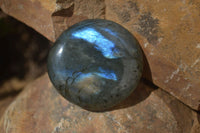 Polished Labradorite Galet / Palm Stones x 12 From Tulear, Madagascar - Toprock Gemstones and Minerals 