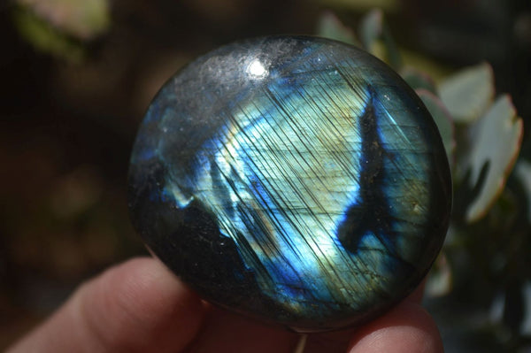 Polished Labradorite Galet / Palm Stones x 12 From Tulear, Madagascar - Toprock Gemstones and Minerals 