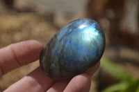 Polished Labradorite Galet / Palm Stones x 12 From Tulear, Madagascar - Toprock Gemstones and Minerals 