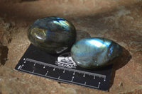 Polished Labradorite Galet / Palm Stones x 12 From Tulear, Madagascar - Toprock Gemstones and Minerals 
