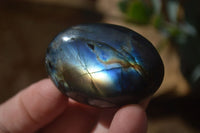 Polished Labradorite Galet / Palm Stones x 12 From Tulear, Madagascar - Toprock Gemstones and Minerals 