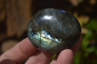 Polished Labradorite Galet / Palm Stones x 12 From Tulear, Madagascar - Toprock Gemstones and Minerals 