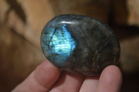Polished Labradorite Galet / Palm Stones x 12 From Tulear, Madagascar - Toprock Gemstones and Minerals 
