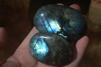 Polished Labradorite Galet / Palm Stones x 12 From Tulear, Madagascar - Toprock Gemstones and Minerals 