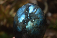Polished Labradorite Galet / Palm Stones x 12 From Tulear, Madagascar - Toprock Gemstones and Minerals 