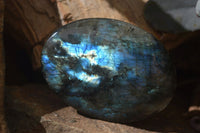 Polished Labradorite Galet / Palm Stones x 12 From Tulear, Madagascar - Toprock Gemstones and Minerals 