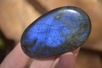 Polished Labradorite Galet / Palm Stones x 12 From Tulear, Madagascar - Toprock Gemstones and Minerals 