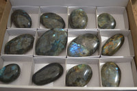 Polished Labradorite Galet / Palm Stones x 12 From Tulear, Madagascar - Toprock Gemstones and Minerals 