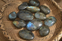 Polished Labradorite Galet / Palm Stones x 12 From Tulear, Madagascar - Toprock Gemstones and Minerals 