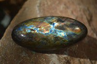 Polished Labradorite Galet / Palm Stones x 12 From Tulear, Madagascar - Toprock Gemstones and Minerals 