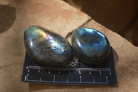 Polished Labradorite Galet / Palm Stones x 12 From Tulear, Madagascar - Toprock Gemstones and Minerals 