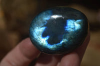 Polished Labradorite Galet / Palm Stones x 12 From Tulear, Madagascar - Toprock Gemstones and Minerals 