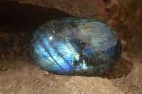 Polished Labradorite Galet / Palm Stones x 12 From Tulear, Madagascar - Toprock Gemstones and Minerals 