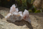 Natural Limonite Spirit Quartz Clusters x 35 From Boekenhouthoek, South Africa - Toprock Gemstones and Minerals 