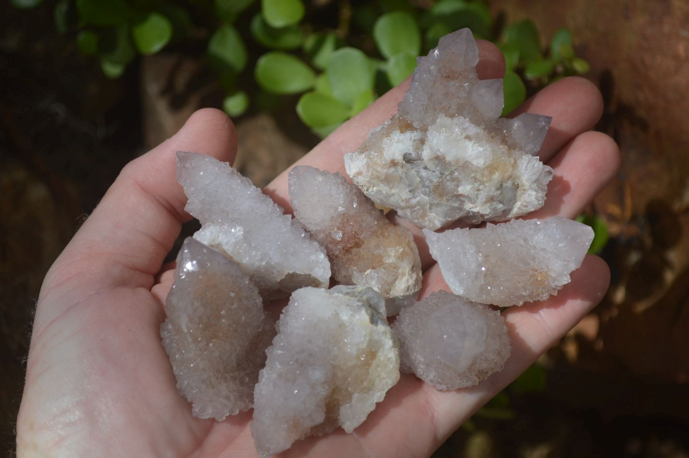 Natural Limonite Spirit Quartz Clusters x 35 From Boekenhouthoek, South Africa - Toprock Gemstones and Minerals 